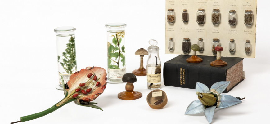 La nature pour modèle Science