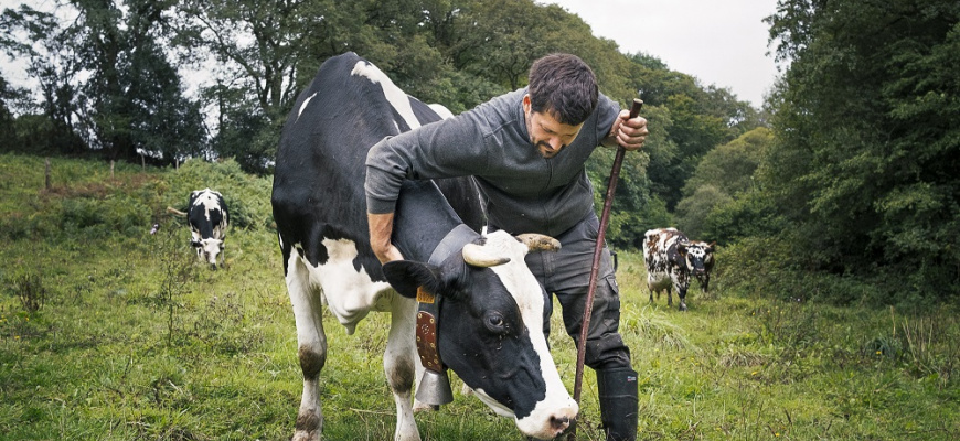 L’alimentation autrement : exposition photo sonore Photographie