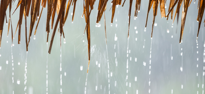 Monsoon - l&#039;eau sacrée Photographie