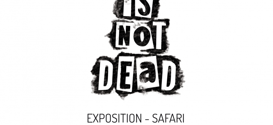 Polaroid is not dead / exposition Photographie
