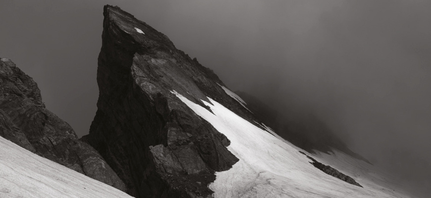 Grégoire Eloy - Troisième nature / Exporama 2025 Photographie
