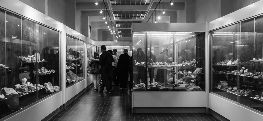 Nuit européenne des Musées à l&#039;Université de Rennes 1 