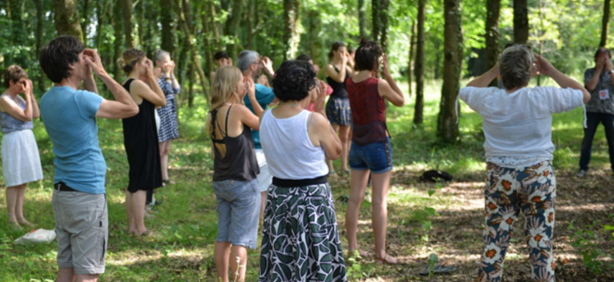 Prêt pour un bain de forêt ? Tourisme