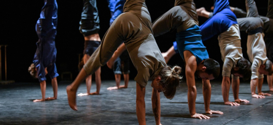 Le complexe de l'autruche - Compagnie Courcirkoui Cirque