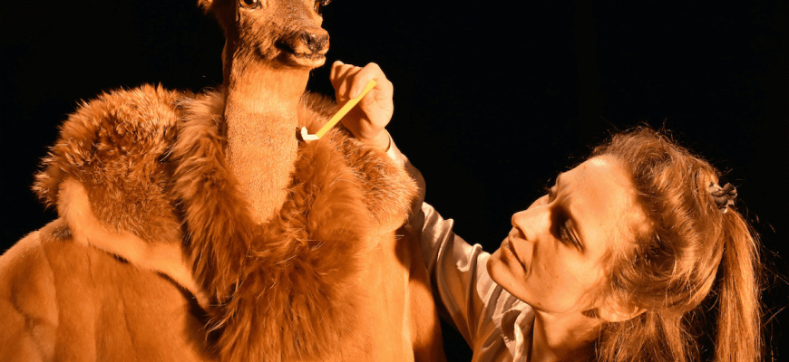 Nos poils- ou comment bien entretenir son jardin Théâtre
