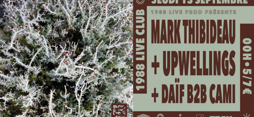 Mark Thibideau [Live] x Upwellings [Live] x Daïf B2B Cami Clubbing/Soirée