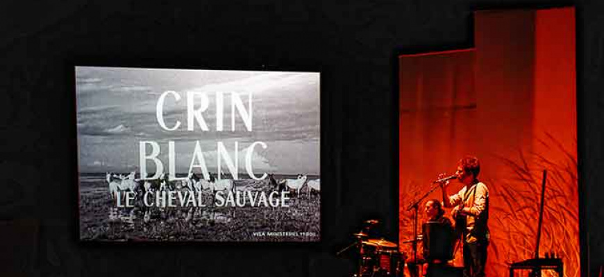Crin Blanc Ciné-concert