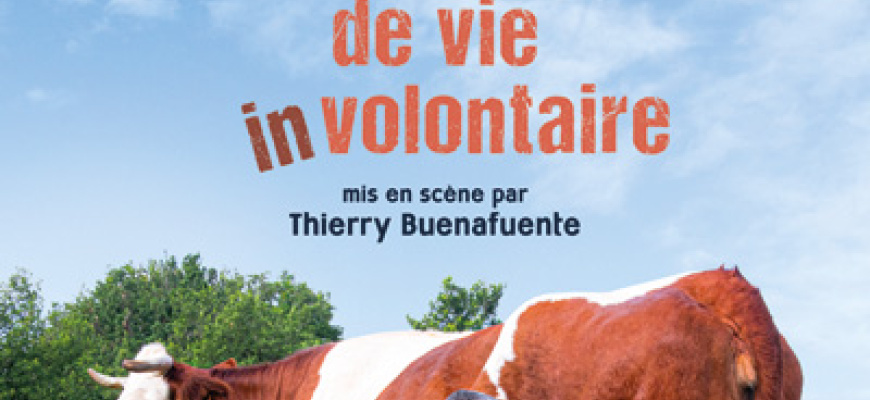 Jean-Michel Rallet - Changement de vie (in)volontaire Humour