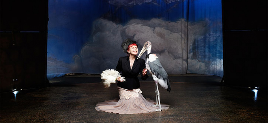 Le jour du grand jour / Igor &amp; Lily Théâtre