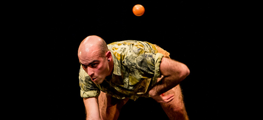 Festival Marmaille - Little Garden, une parade nuptiale jonglée Théâtre