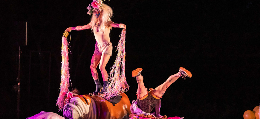 Violent - Société Protectrice de Petites Idées Cirque