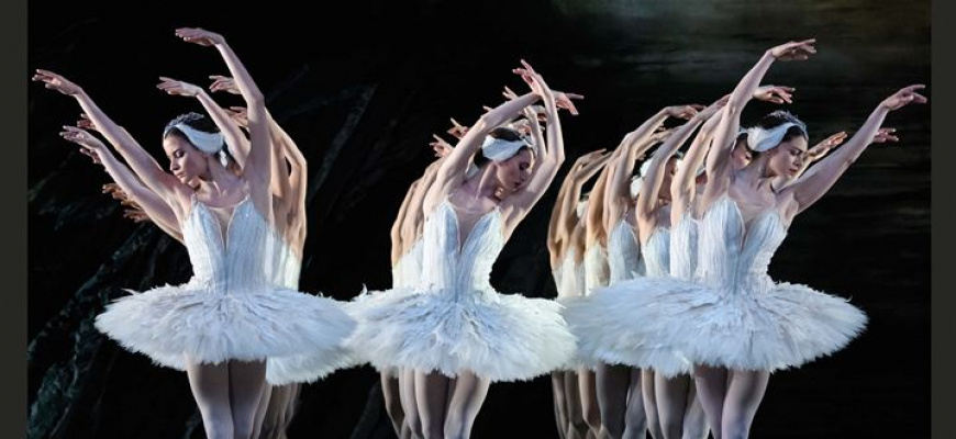 Le Lac des Cygnes (Royal Opera House) Ballet