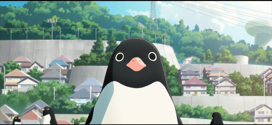 Le Mystère des pingouins Animation