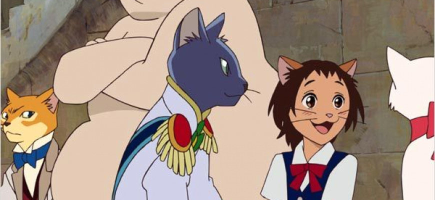 Le Royaume des chats Animation
