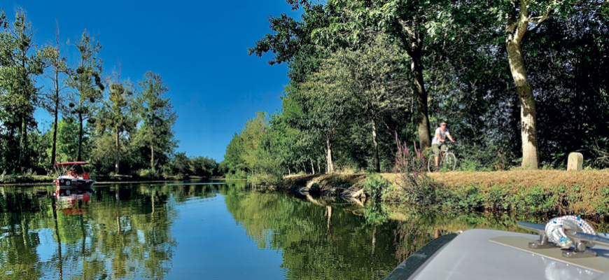 Le Rennes de Roszalie