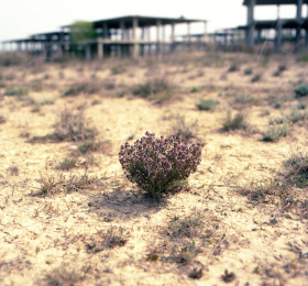 Image Les Limbes - Nicolas Escoubeyrou Photographie