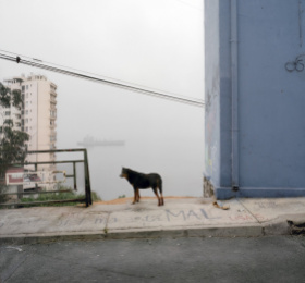 Image Marie Bovo - L’Atelier volant Photographie