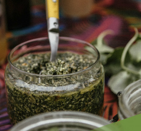 Balade à la découverte "Plantes sauvages & apéro"