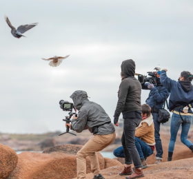 Image  Séance exceptionnelle du film "Les Oiseaux de Pluie"  Cinéma