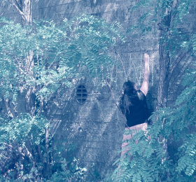 Image Toujours plus haut Théâtre