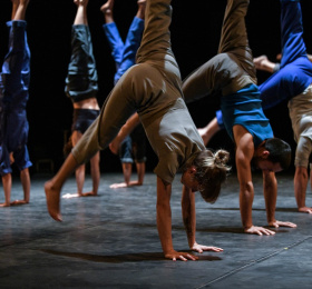 "Le complexe de l'autruche" Compagnie Courcirkoui