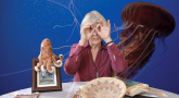 Projection en ligne Donna Haraway